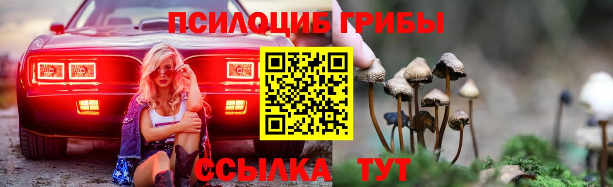 Пушкино  Галлюциногенные грибы Cubensis  купить   Вход с VPN 